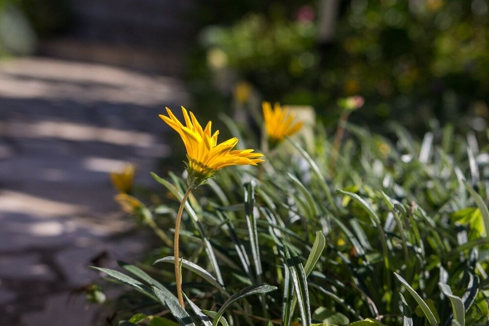 Photo of Outdoor in Cove Murtar