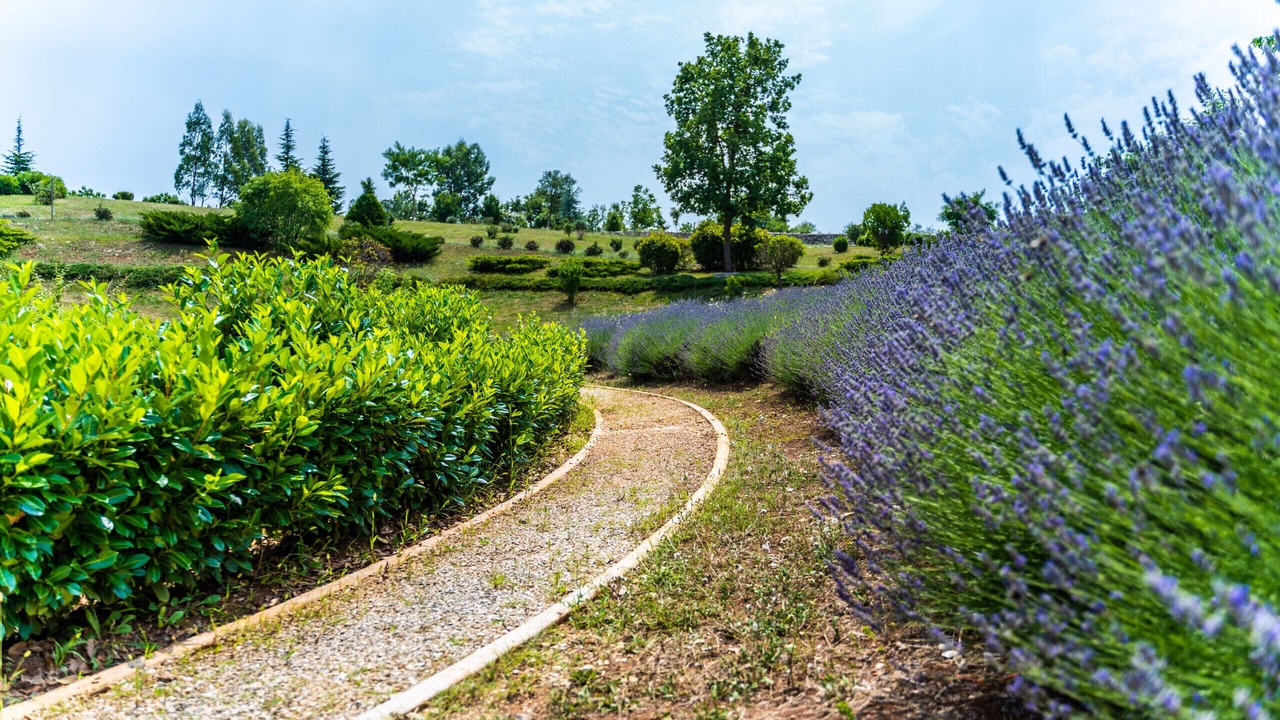 Photo of Outdoor in Divsici