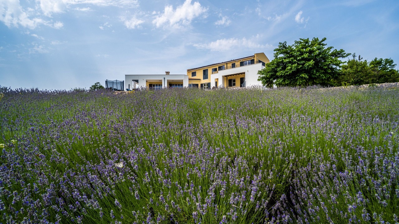 Photo of Outdoor in Divsici