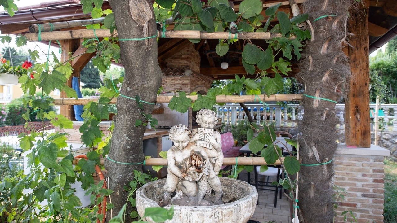 Photo of Outdoor in Ika
