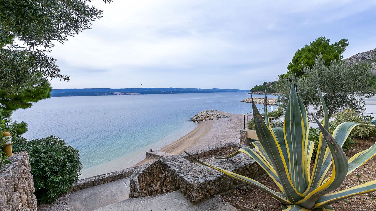 Photo of Outdoor in Medici
