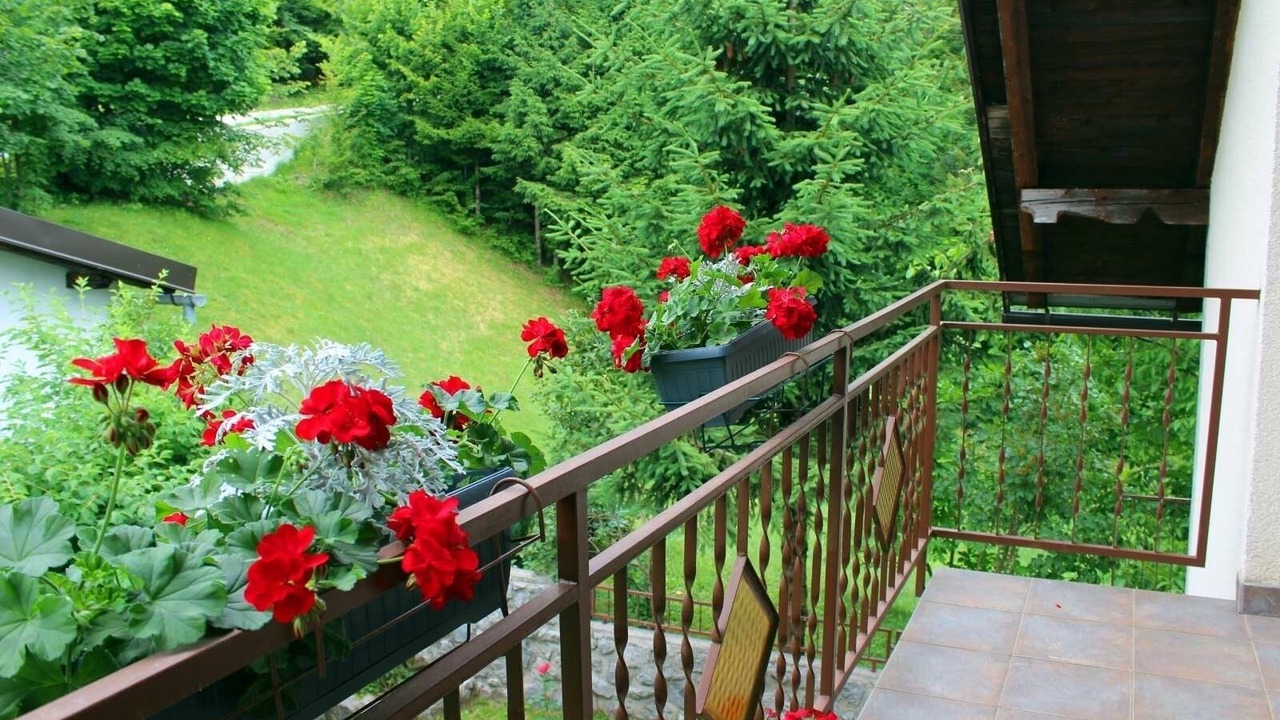 Photo of Patio Balcony in Brestova Draga