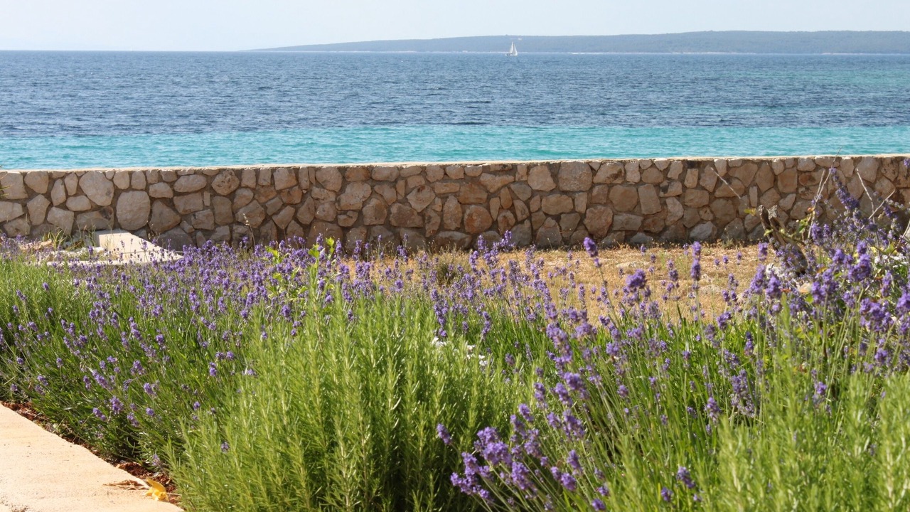 Photo of Outdoor in Lun
