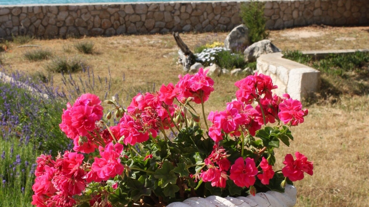 Photo of Outdoor in Lun