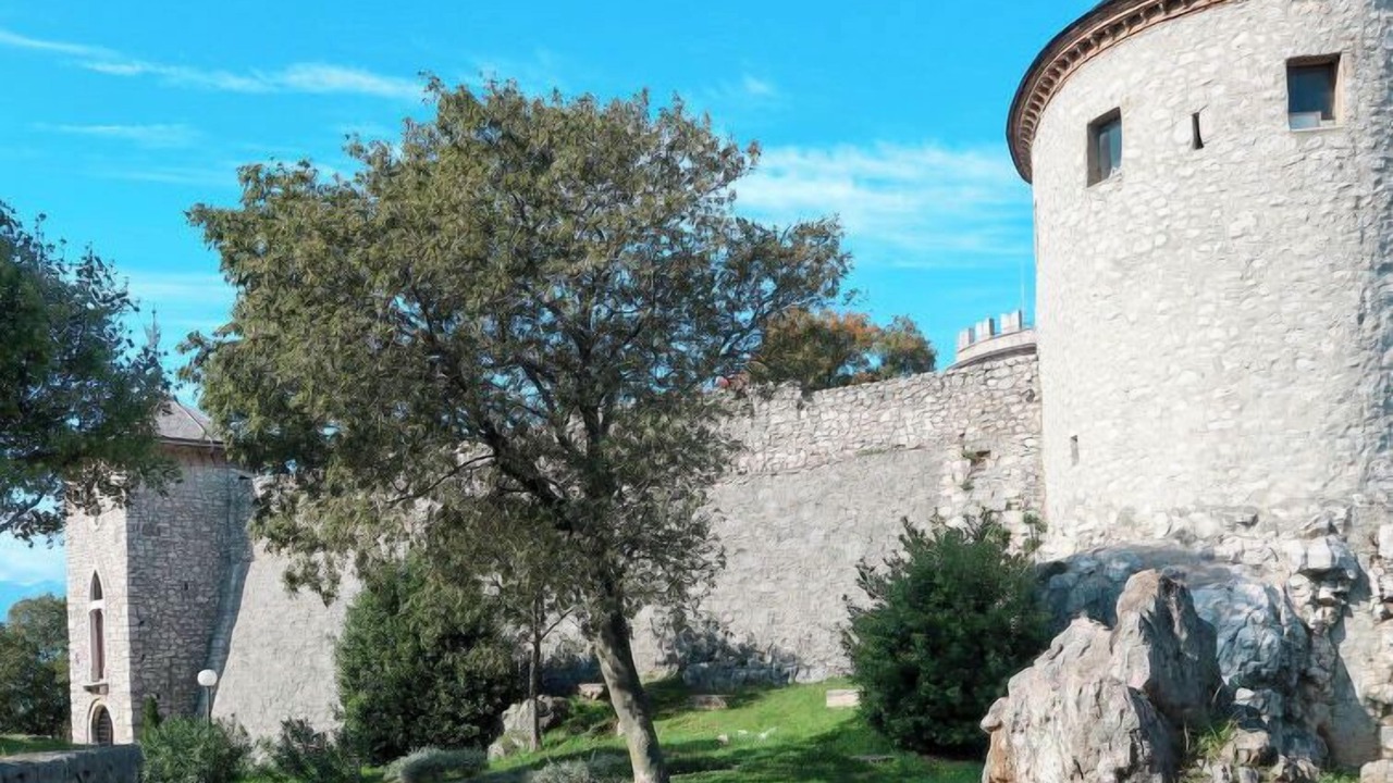 Photo of Others in Zurkovo