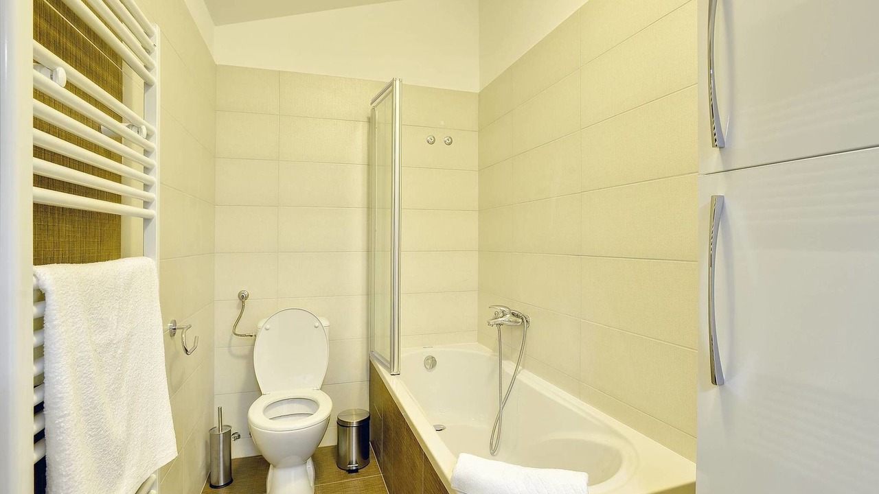 Photo of Bathroom in Medulin