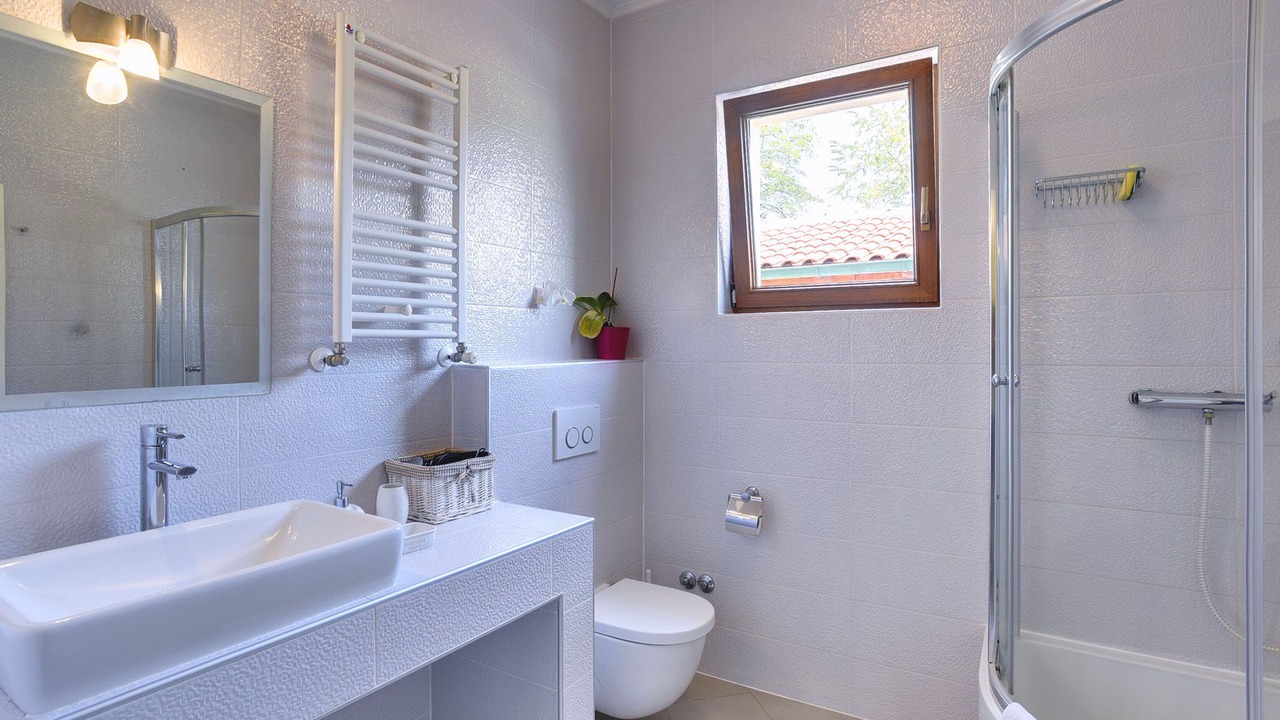 Photo of Bathroom in Orbanici