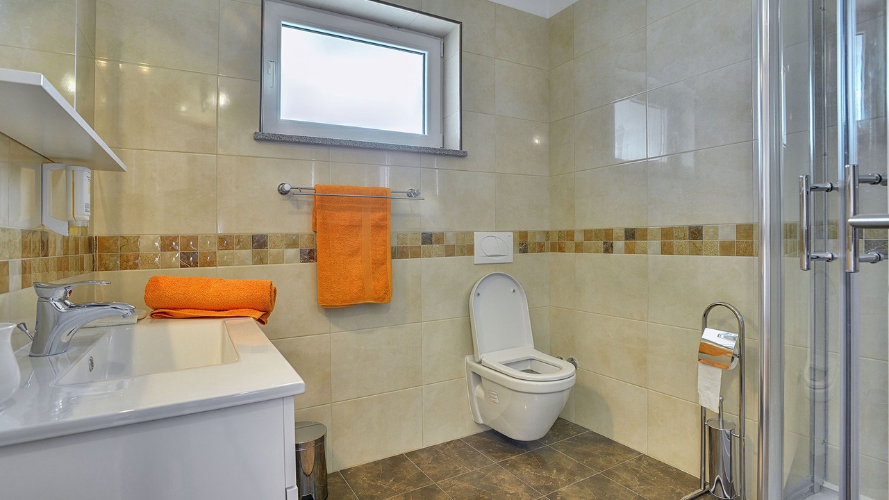 Photo of Bathroom in Orbanici