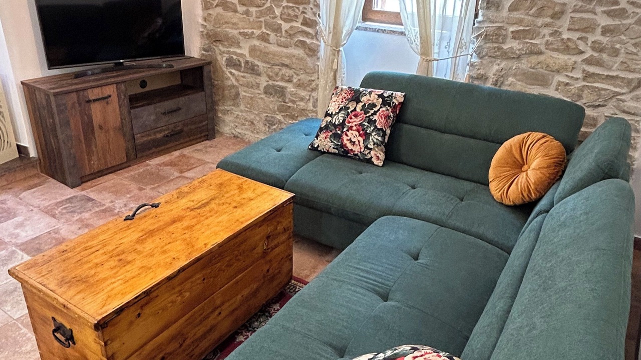 Photo of Livingroom in Draguc