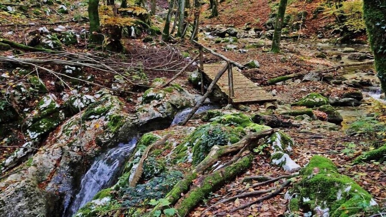 Photo of Outdoor in Dolenja Vas