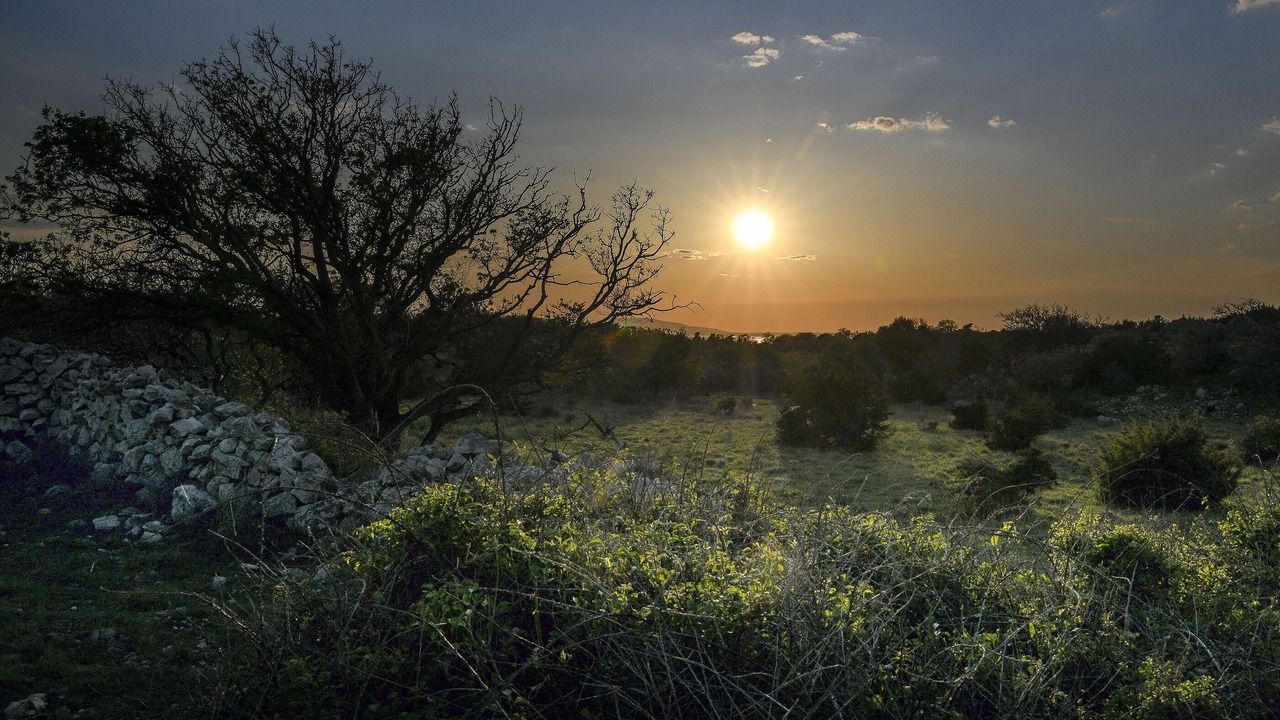 Photo of Outdoor in Jakisnica