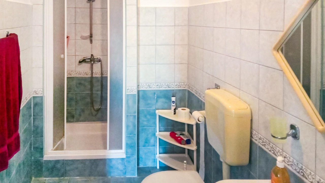 Photo of Bathroom in Ika