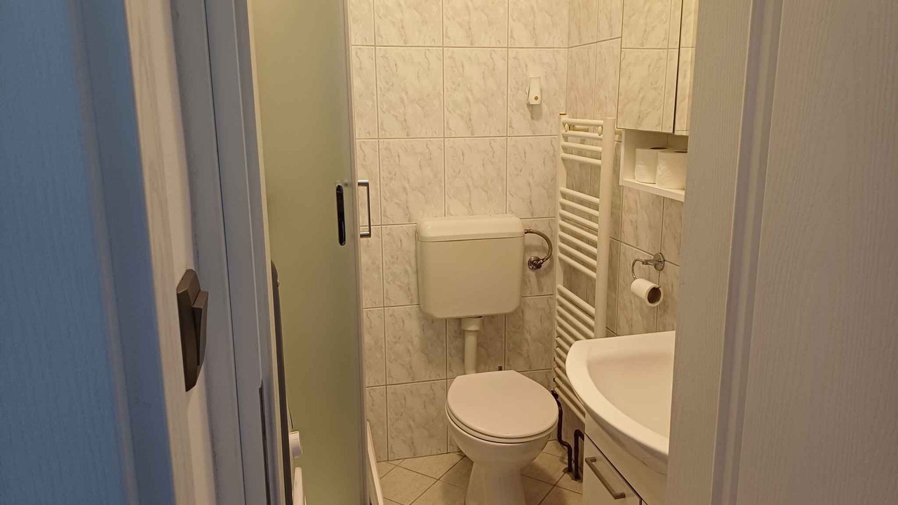 Photo of Bathroom in Milovcici