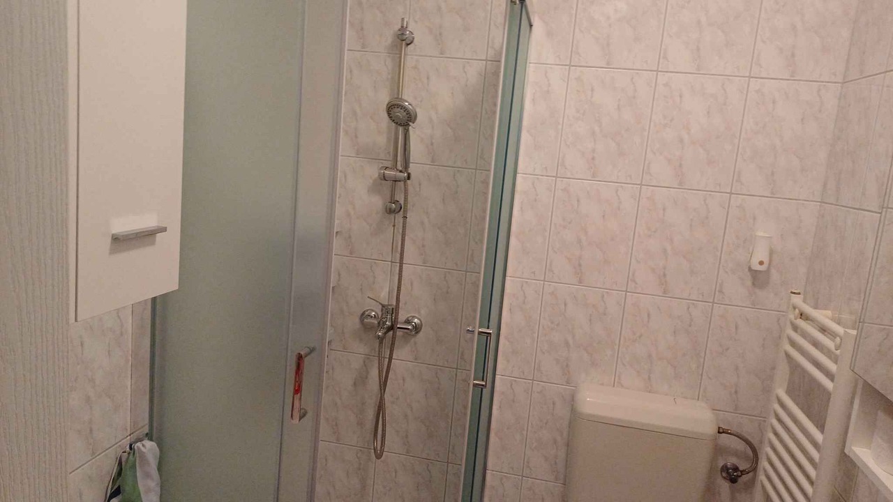 Photo of Bathroom in Milovcici