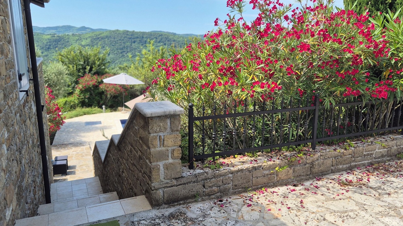 Photo of Outdoor in Bartolici