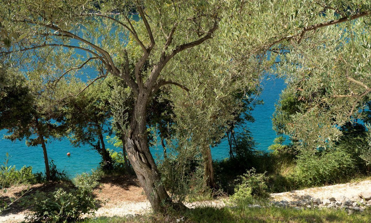 Photo of Others in Duga Luka
