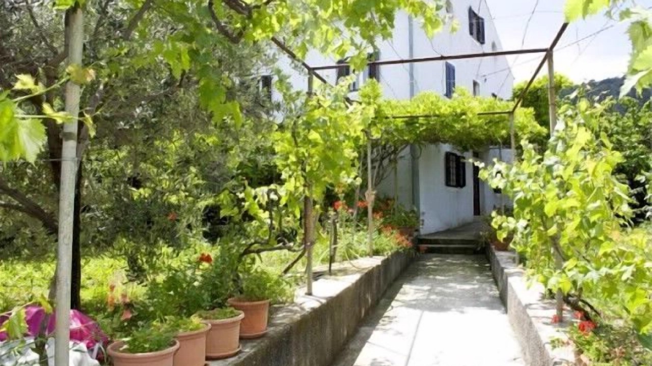 Photo of Outdoor in Veli Losinj