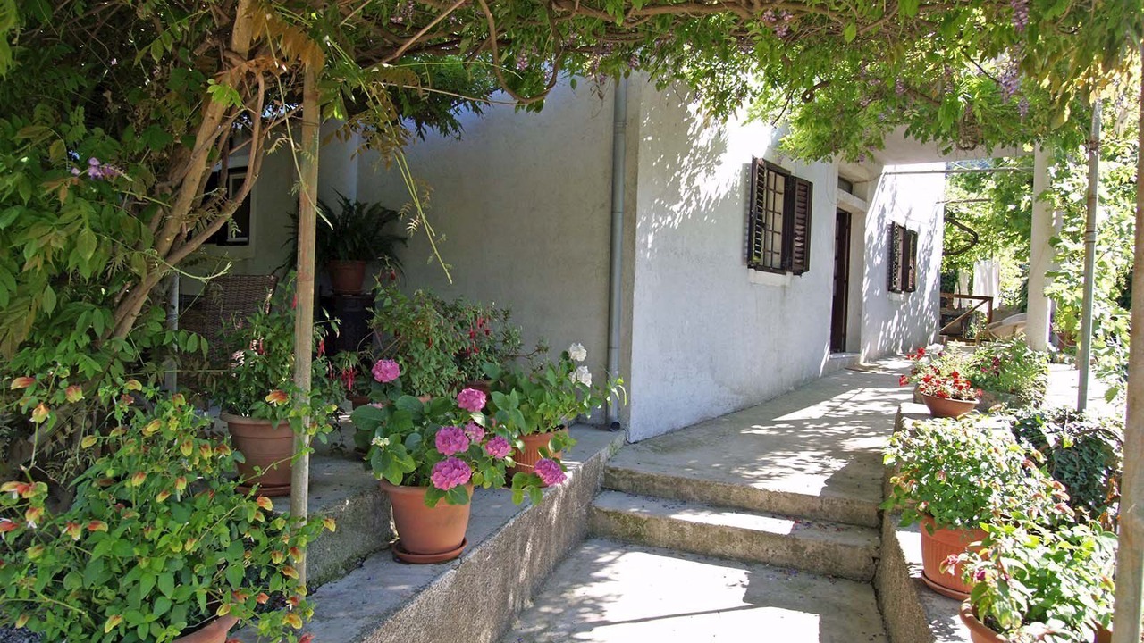 Photo of Outdoor in Veli Losinj