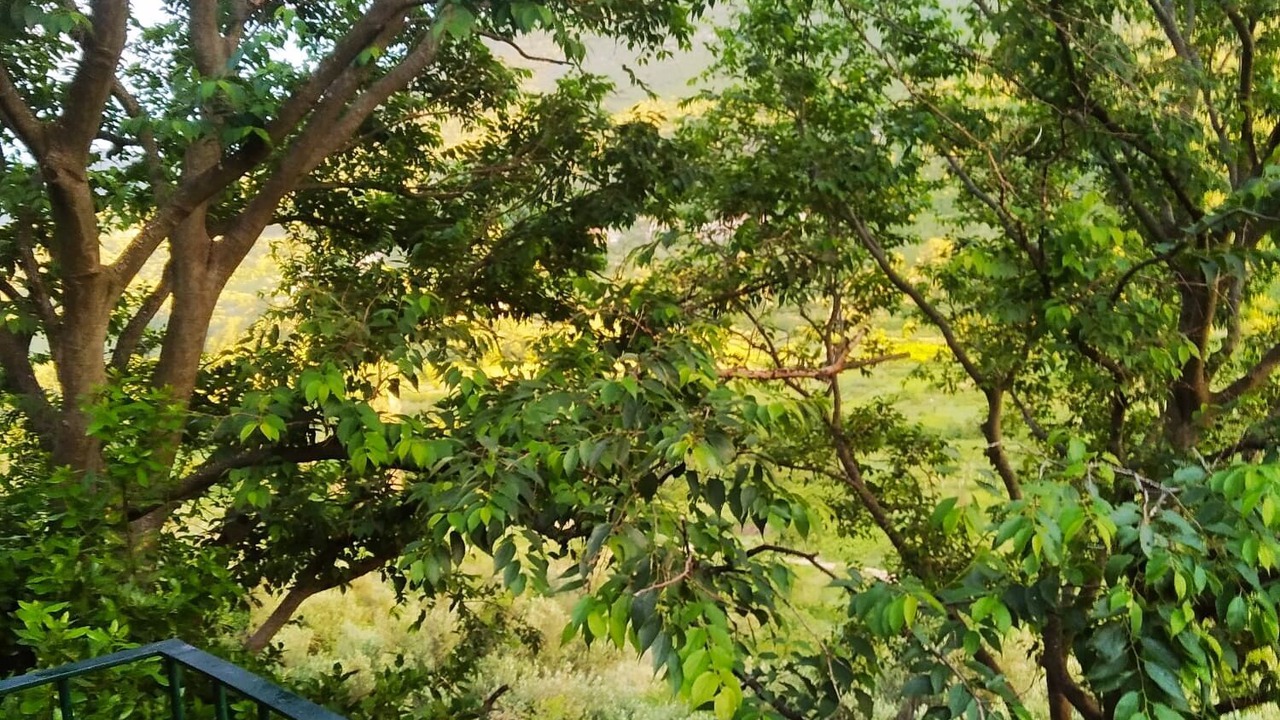Photo of Outdoor in Slime