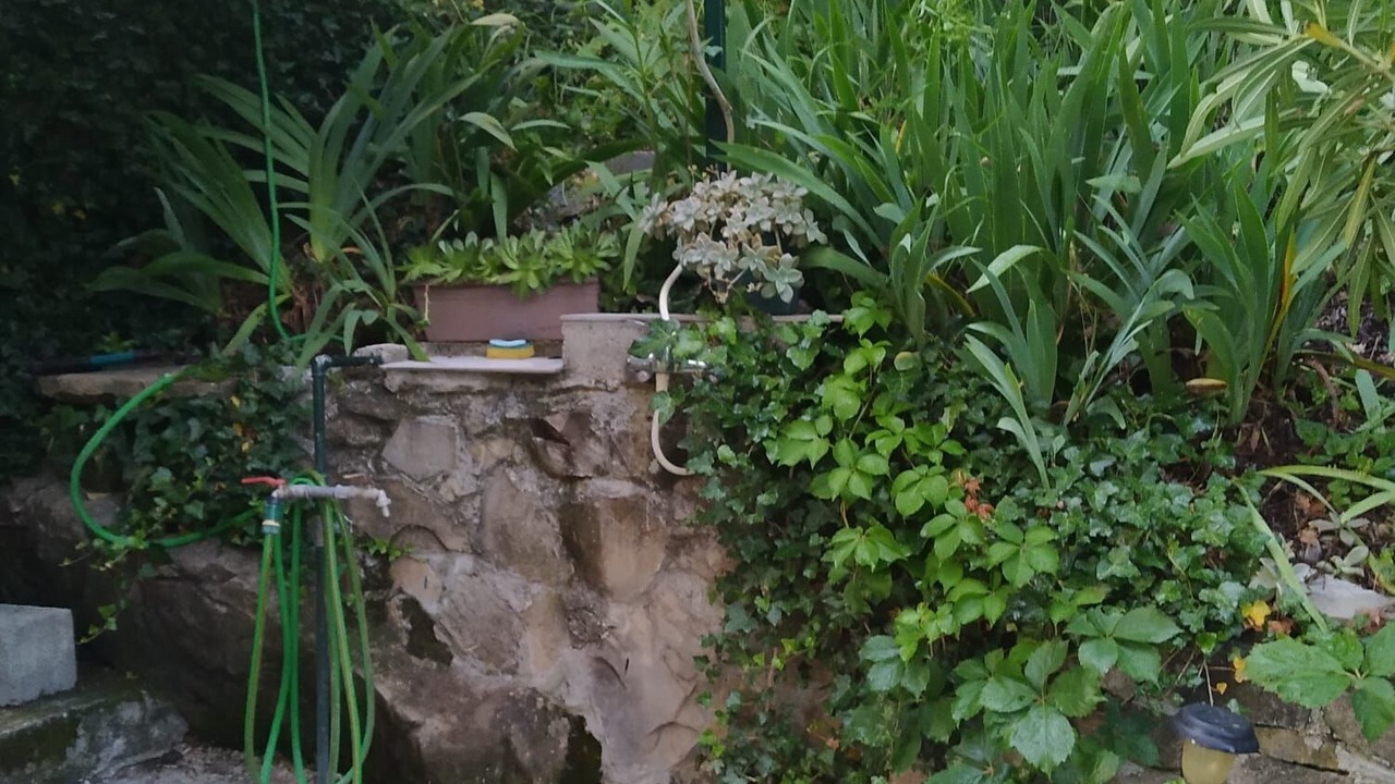 Photo of Outdoor in Slime
