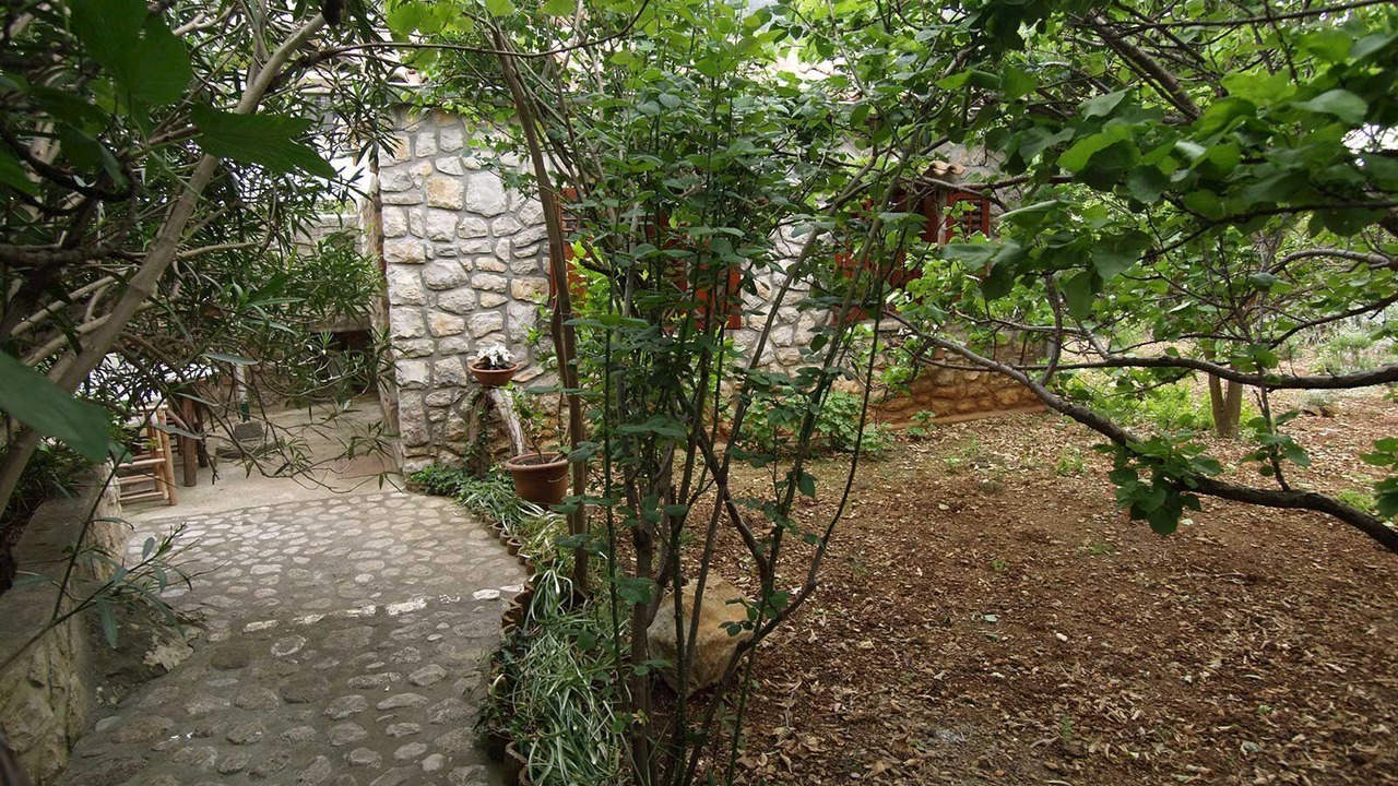 Photo of Outdoor in Veli Losinj