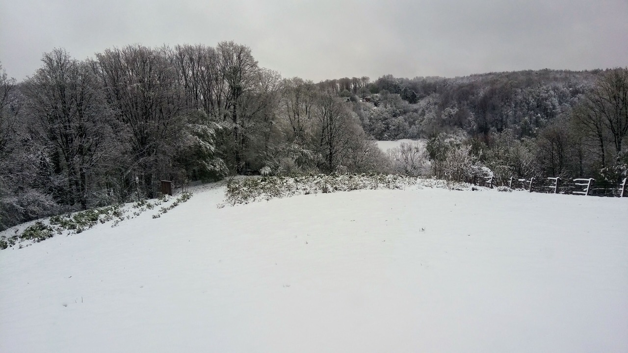 Photo of Others in Breznik Plesivicki