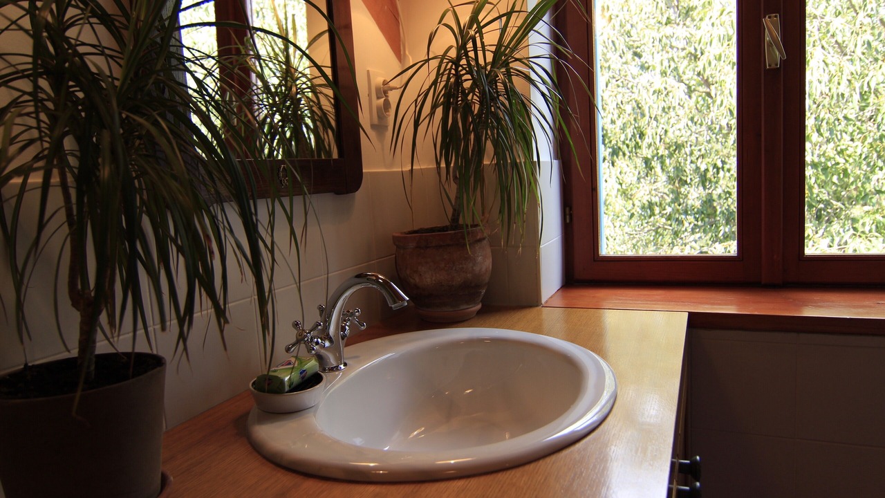 Photo of Bathroom in Dol