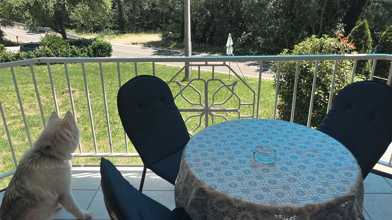 Photo of Outdoor in Bribir
