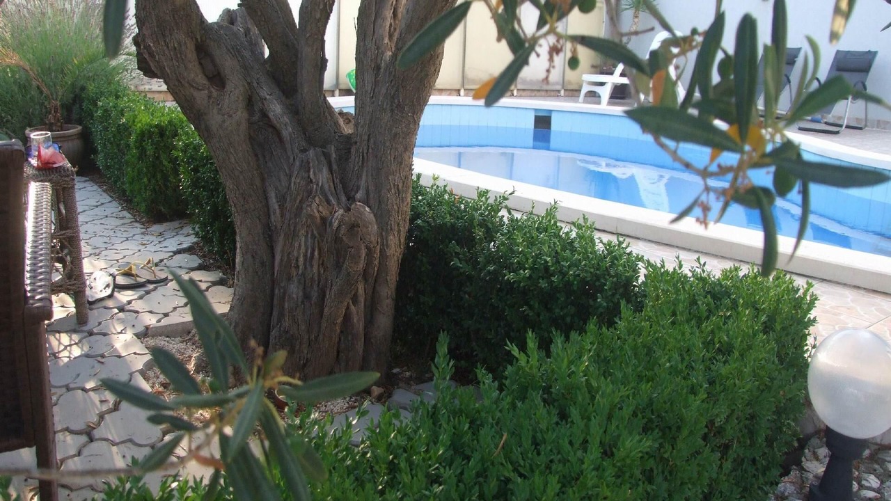 Photo of Outdoor in Sevid