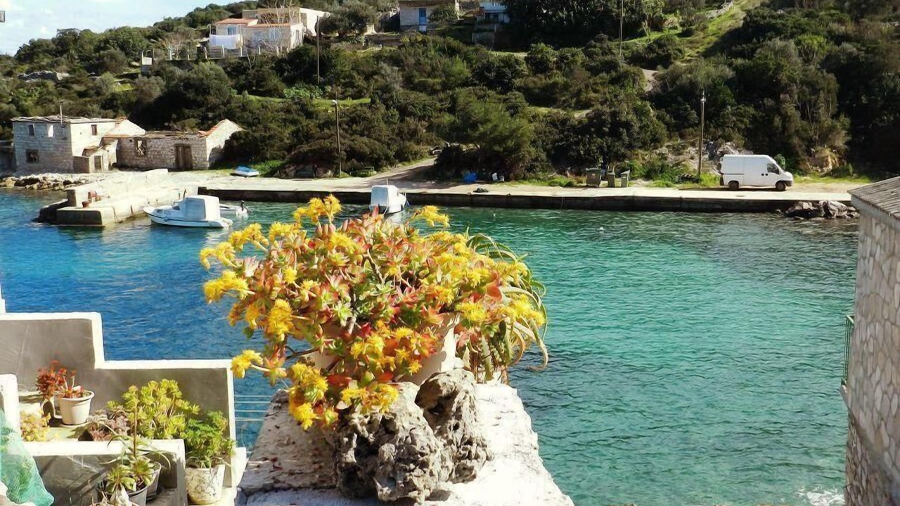 Photo of Outdoor in Donje Selo