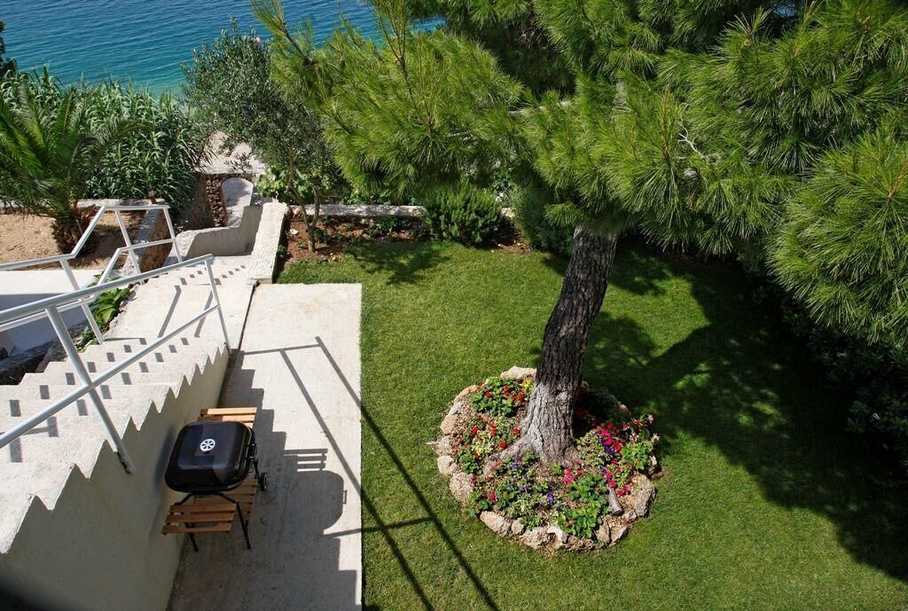 Photo of Outdoor in Medici