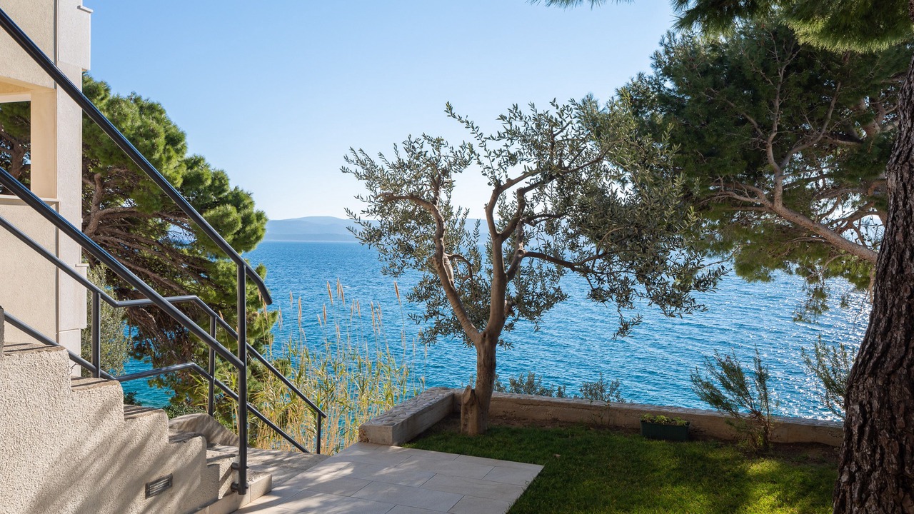 Photo of Outdoor in Medici