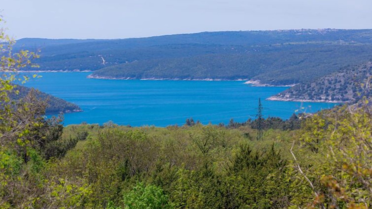 Photo of Others in Diminici