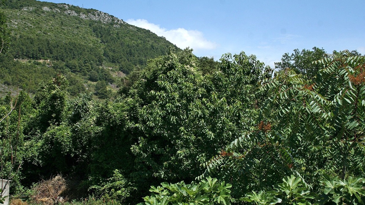 Photo of Patio Balcony in Zuljana