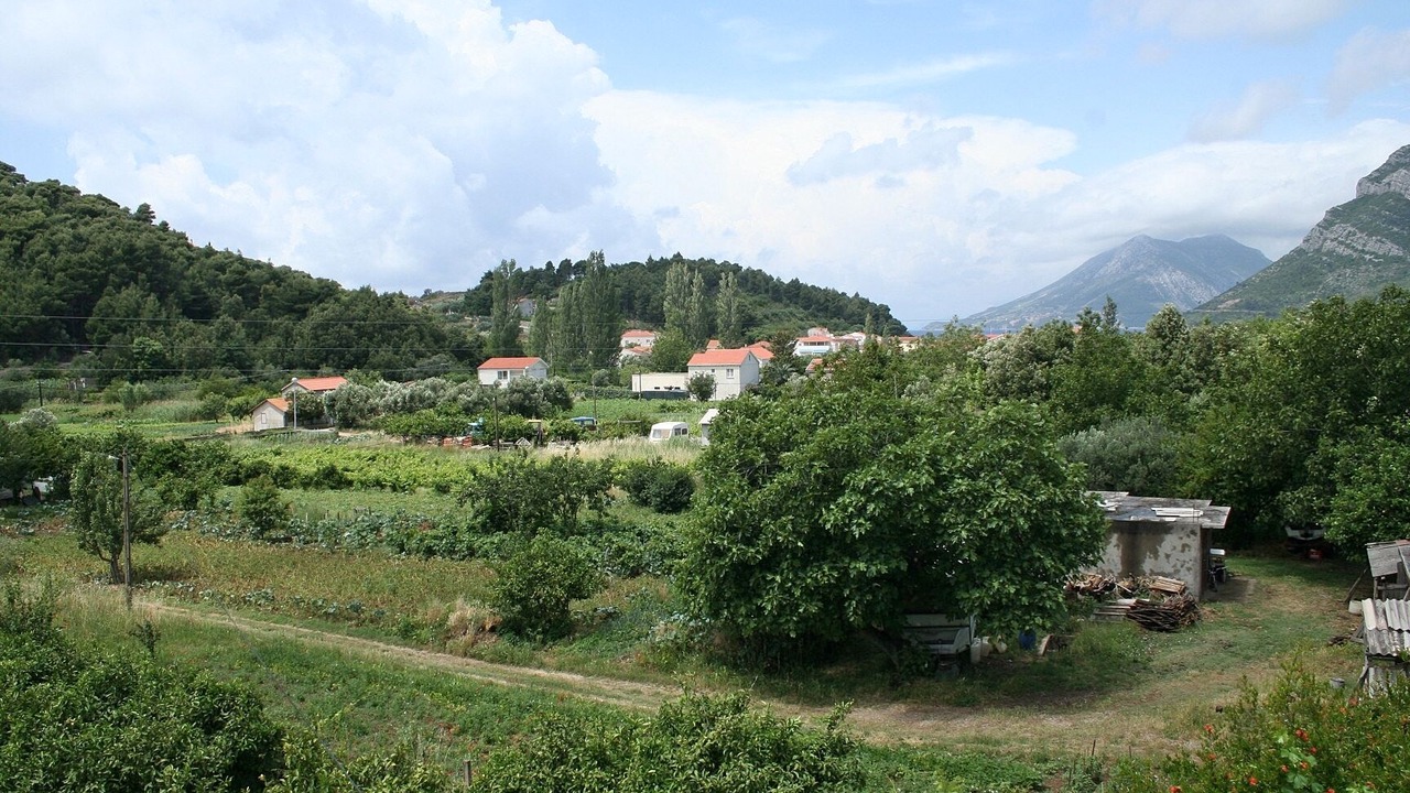 Photo of Others in Zuljana