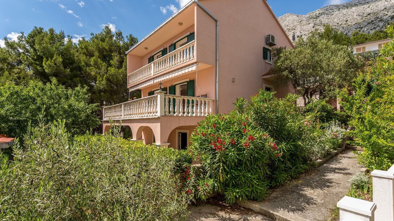 Photo of Outdoor in Medici