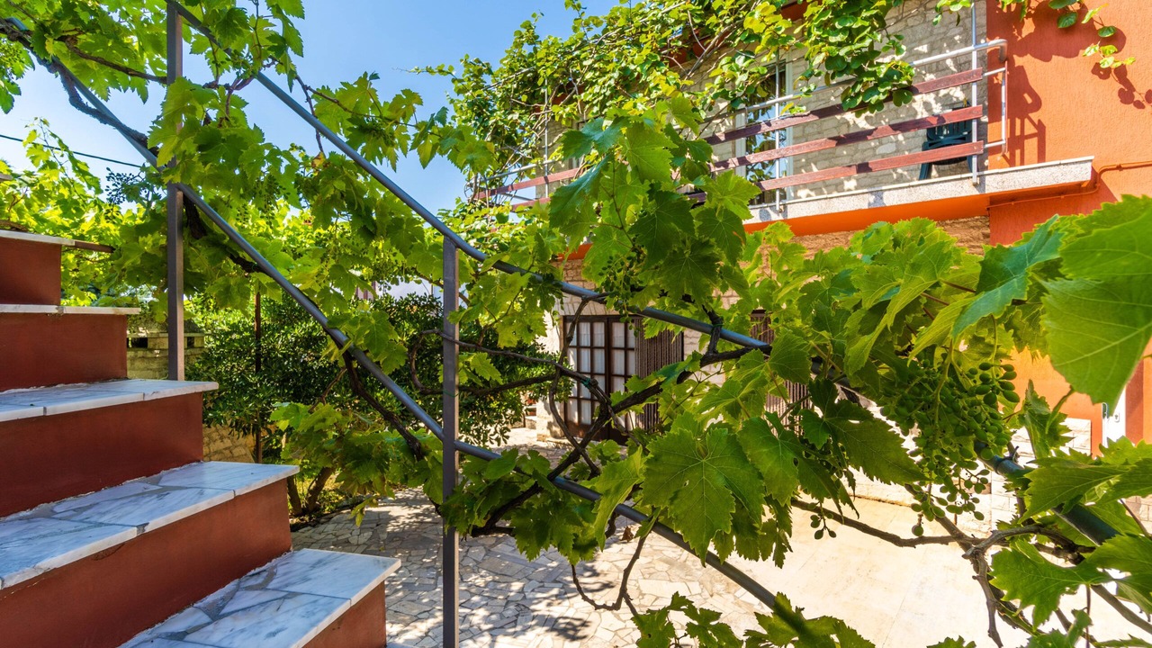 Photo of Outdoor in Krnica