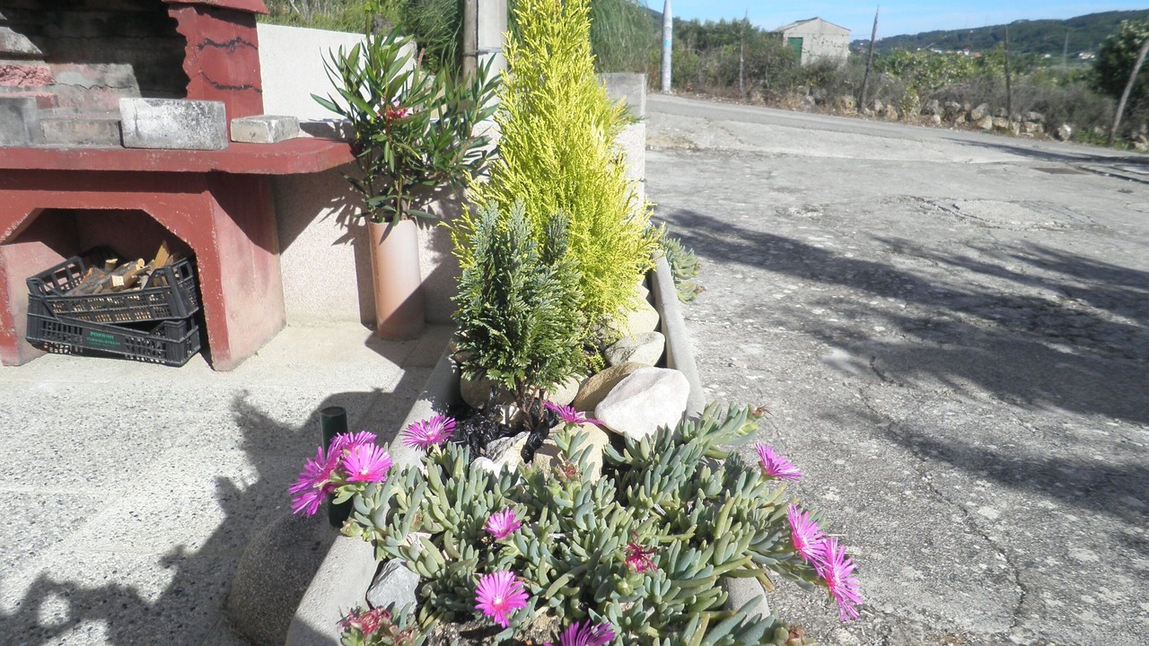 Photo of Outdoor in Supetarska Draga
