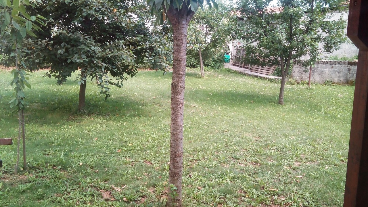 Photo of Outdoor in Trinajstici