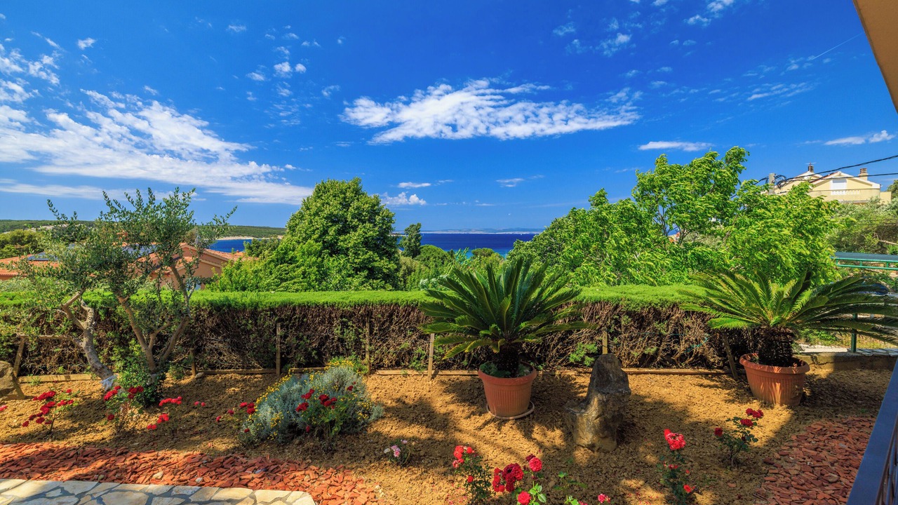 Photo of Outdoor in Supetarska Draga