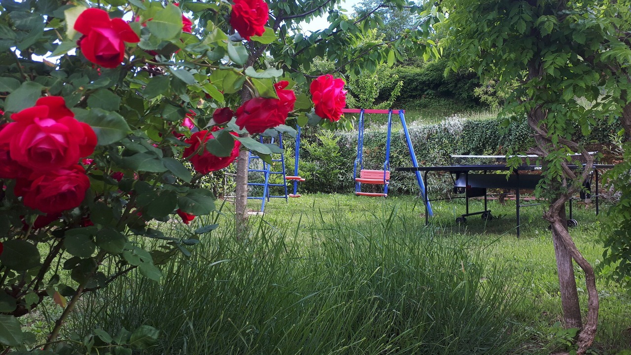 Photo of Outdoor in Opatija