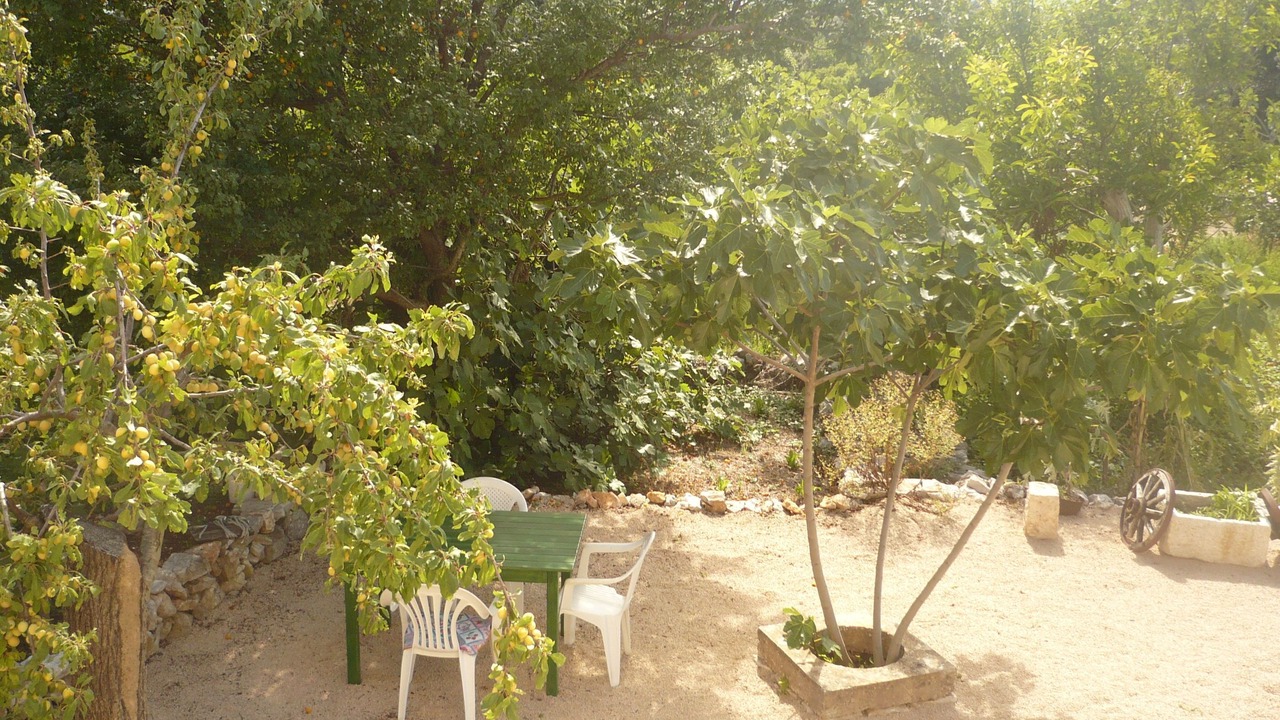 Photo of Outdoor in Cres