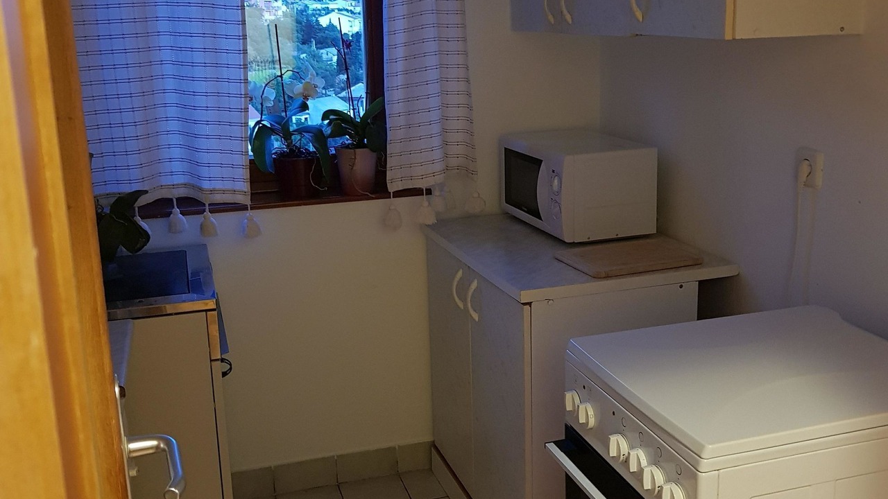 Photo of Kitchen in Vratarusa