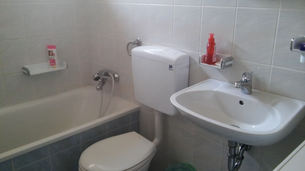 Photo of Bathroom in Vratarusa