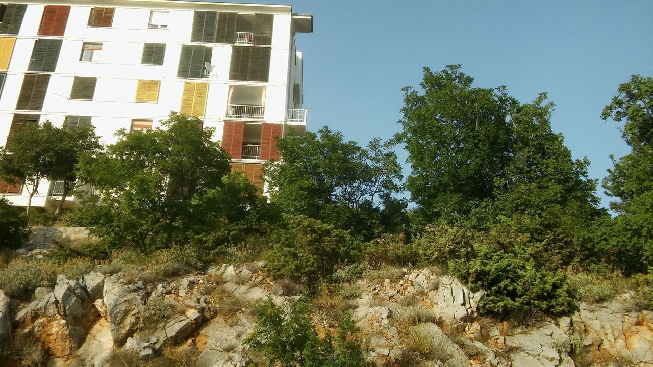 Photo of Outdoor in Vratarusa