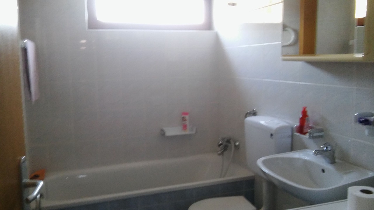 Photo of Bathroom in Vratarusa