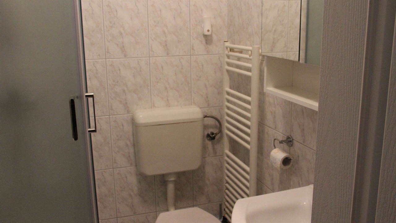 Photo of Bathroom in Milovcici