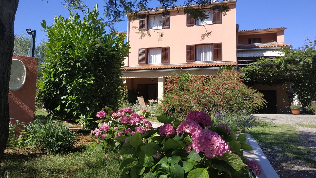 Photo of Outdoor in Loborika