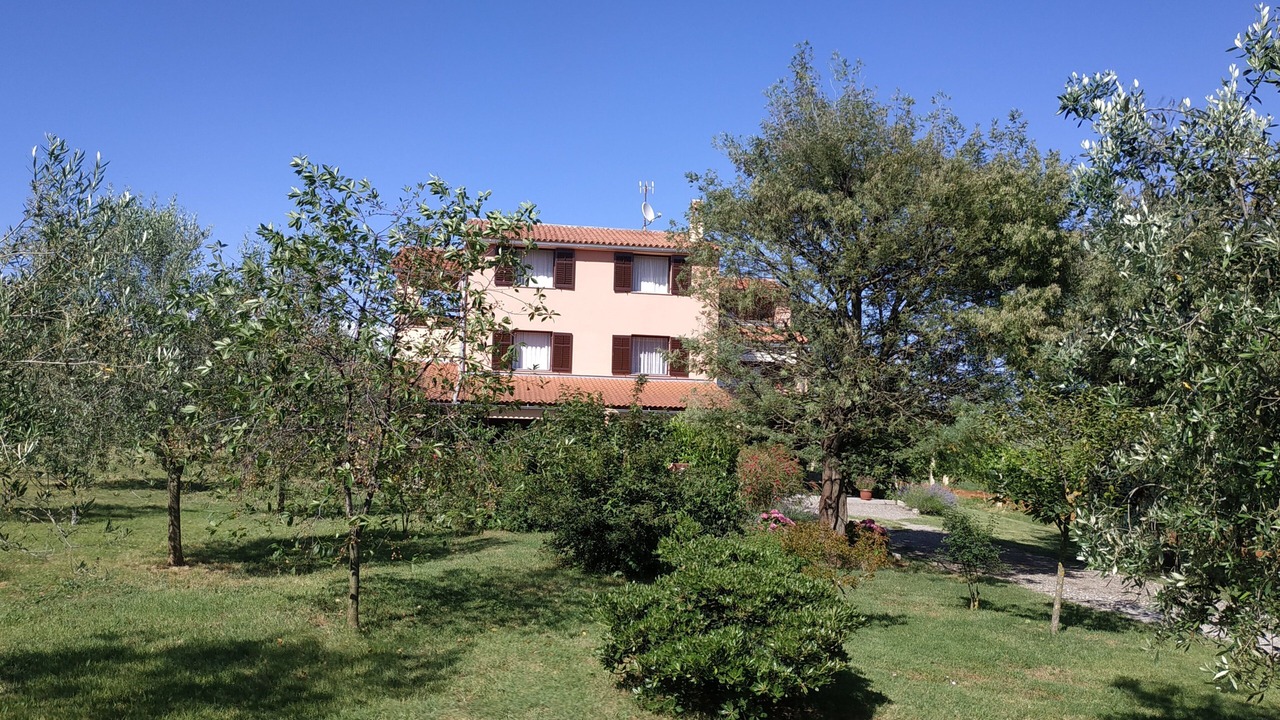 Photo of Outdoor in Loborika