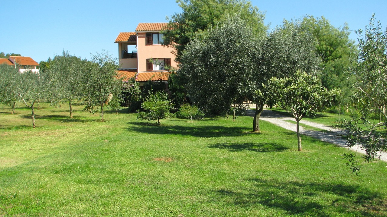 Photo of Outdoor in Loborika